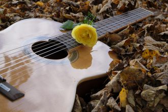 musica d'autunno